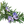 Load image into Gallery viewer, Tijm Etherische olie Biologisch | 10 ML