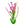 Load image into Gallery viewer, Palmarosa Etherische olie Biologisch | 10 ML