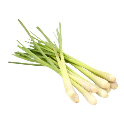 Marque Blanche | Huile Essentielle de Citronnelle Bio | 10ML