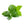 Load image into Gallery viewer, Pepermunt Etherische olie Biologisch | 10 ML