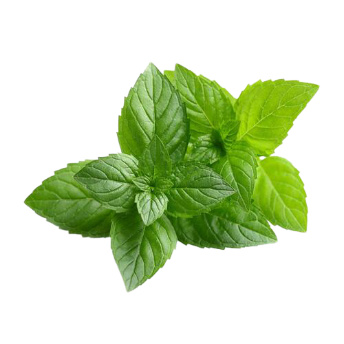 Marque Blanche | Huile Essentielle de Menthe Poivrée Bio | 10ML