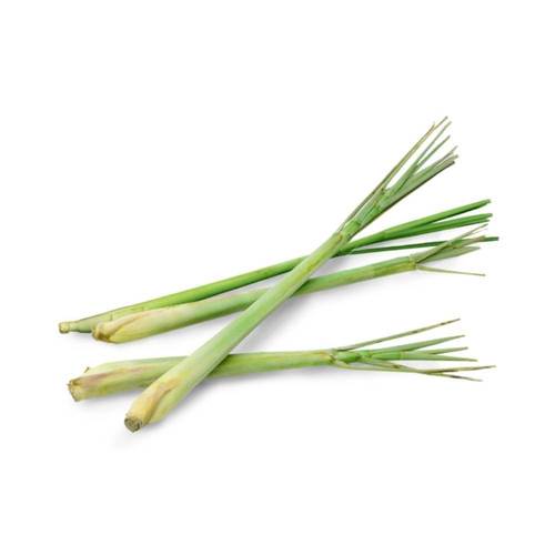 Citronella Essential Oil Organic | 10ML