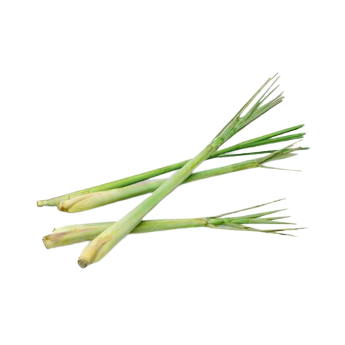 Weißes Etikett | Citronella ätherisches Öl Bio | 10ml