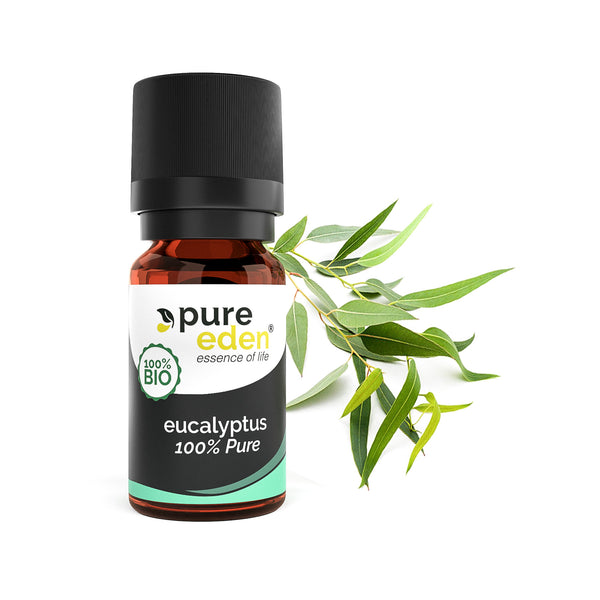 Eucalyptus Etherische olie Biologisch | 10 ML