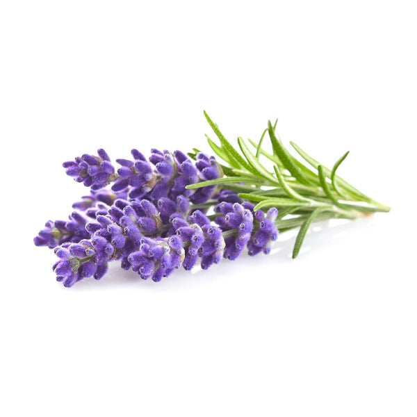 Lavendel (Lavandin) Etherische olie Biologisch | 10 ML